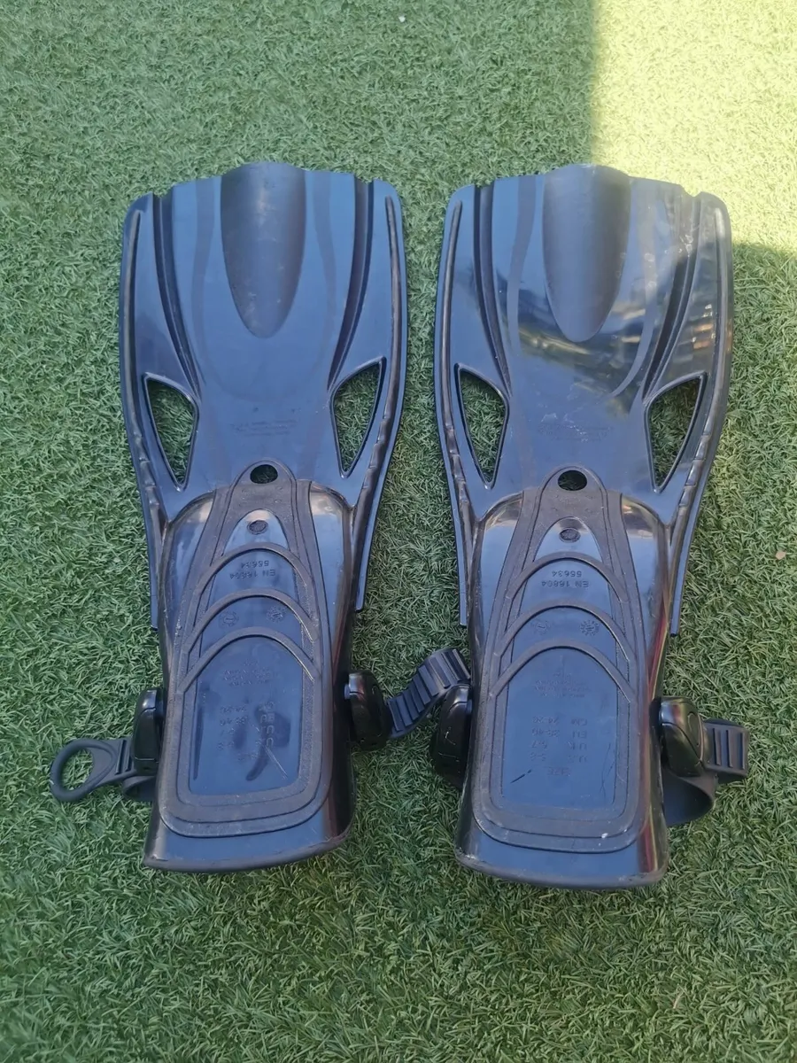 Pair of Flippers - Image 3