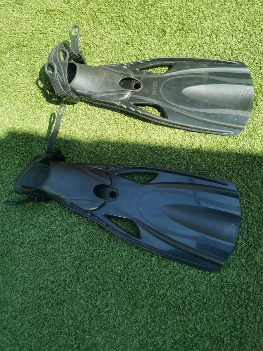 Pair of Flippers - Image 4