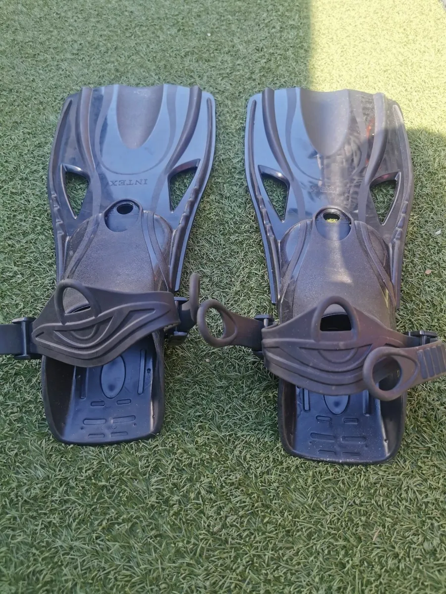 Pair of Flippers - Image 1