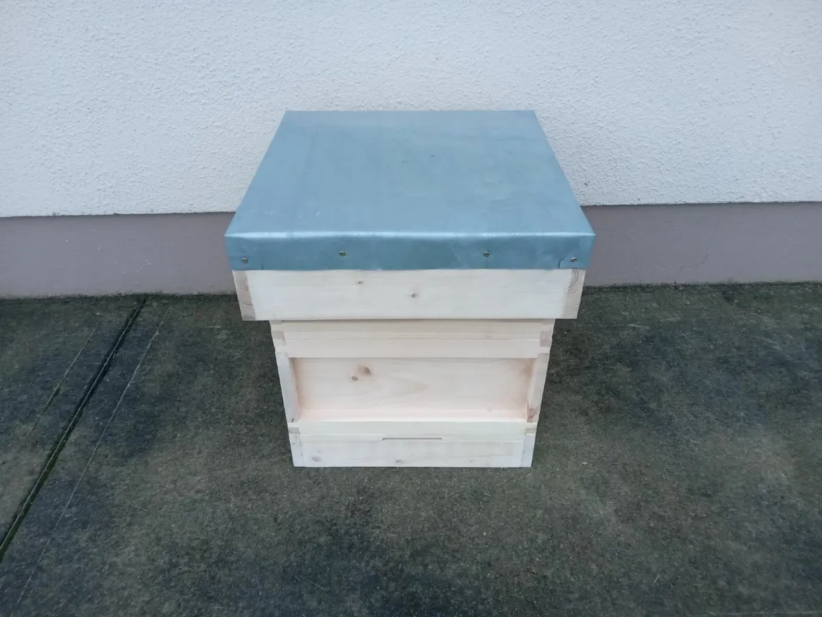 Bee Hives and Beekeeping Equipment - Image 1
