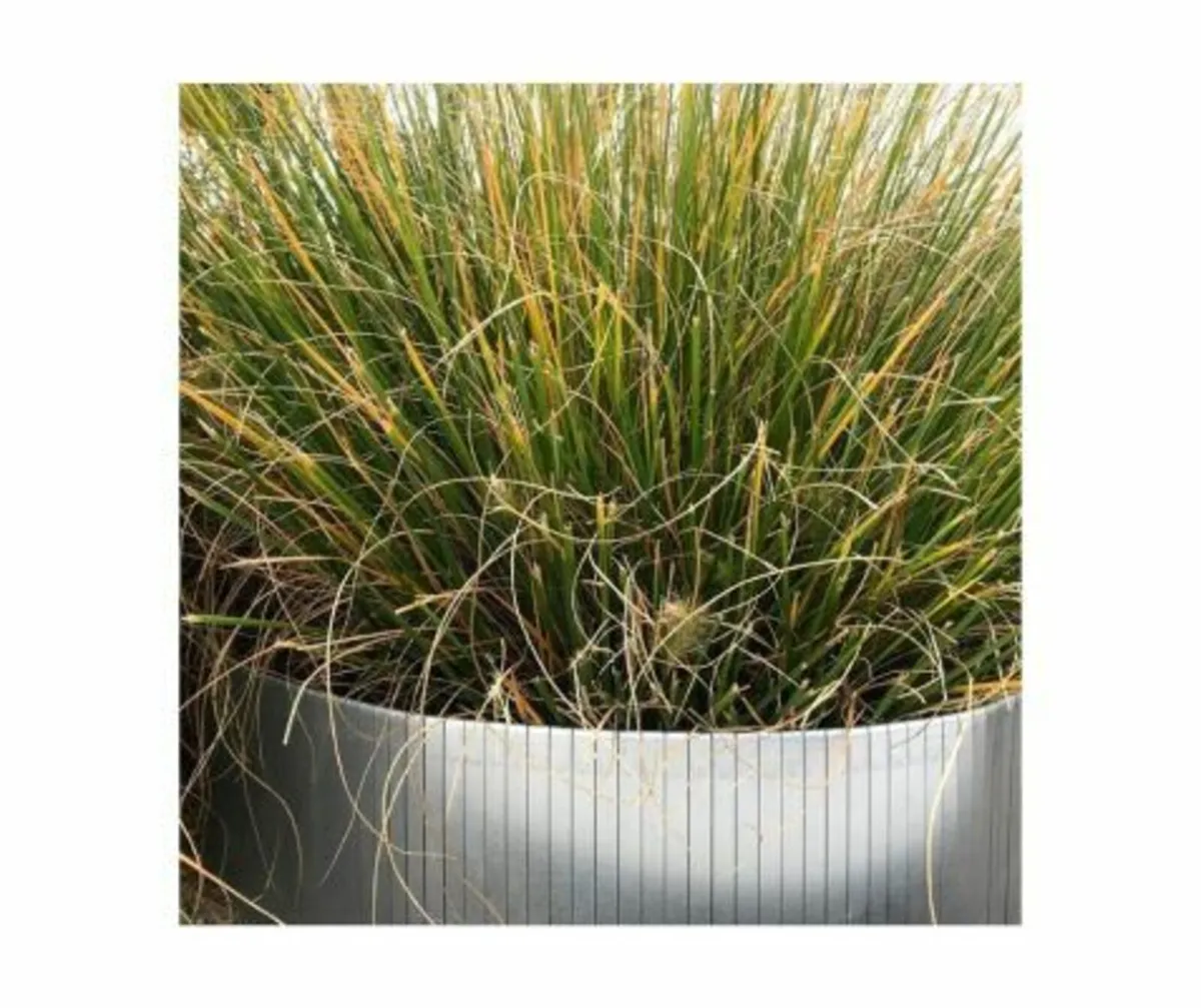 EASYFIX LI Garden Border - Image 1