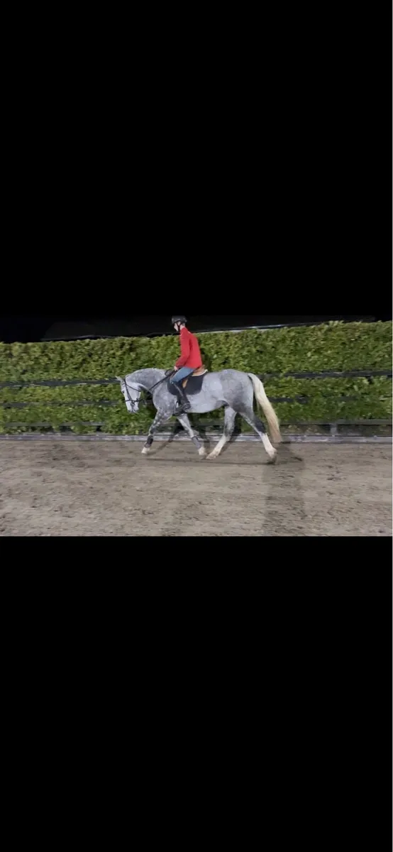 Breaking/Schooling/Sales/Competition/PreTraining - Image 1