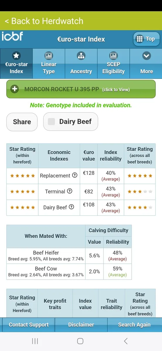 Hereford polled bulls 5 stars - Image 3