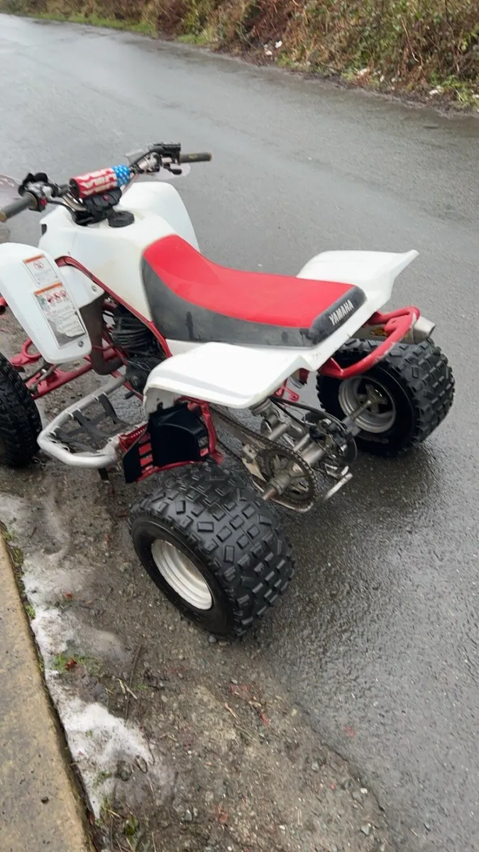 Yamaha blaster 200 - Image 4