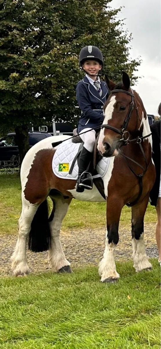 13.3 family pony - Image 1