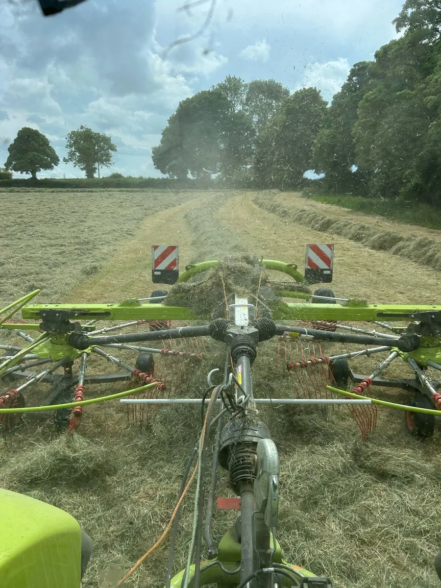 Hay - Image 2