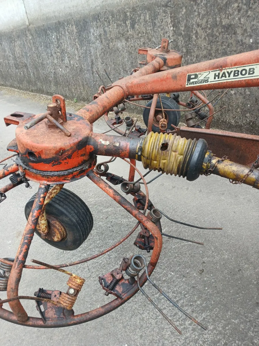 PZ 300 Haybob - Image 1