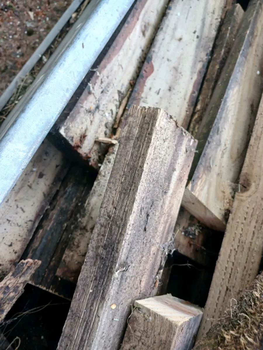 Fire wood - Image 1