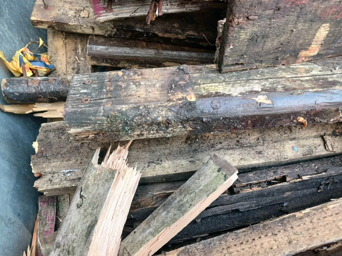Fire wood - Image 2