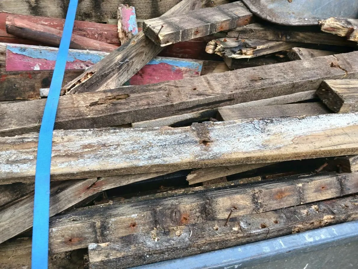Fire wood - Image 3
