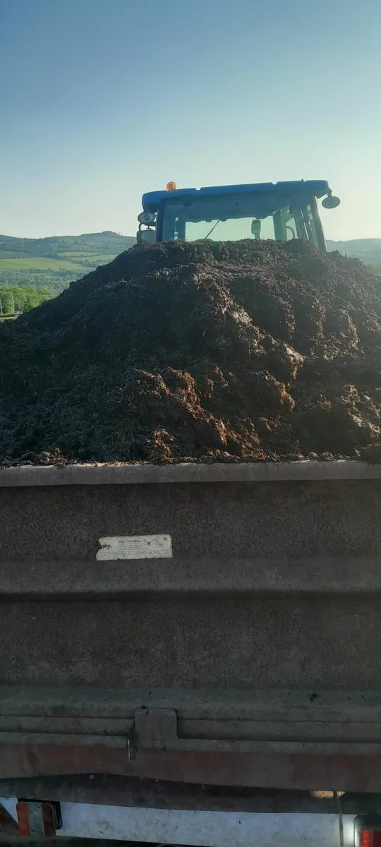 Mushroom compost - Image 1