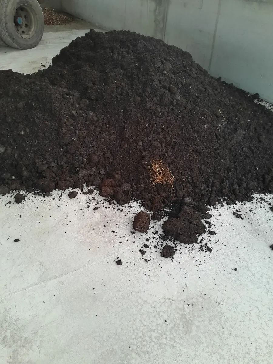 Mushroom compost - Image 4
