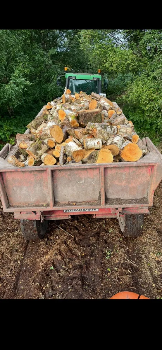 Trailer loads of Firewood - Image 3