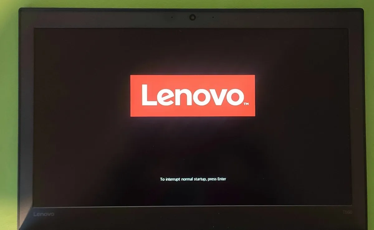 Lenovo Thinkpad Laptop  IPS/LCD/LED Monitor - Image 1
