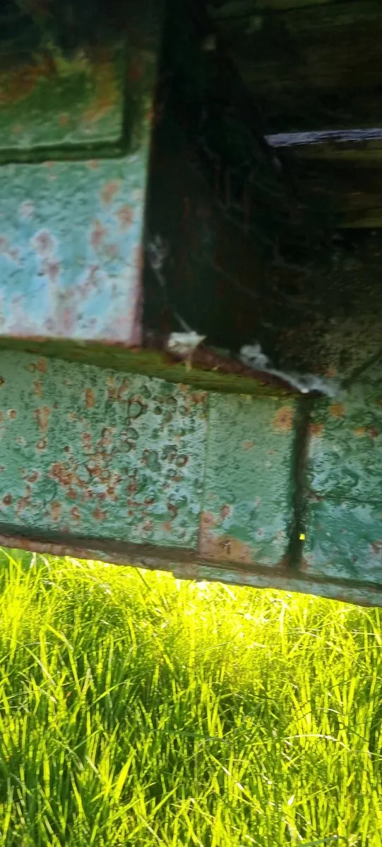 Bale trailer - Image 4