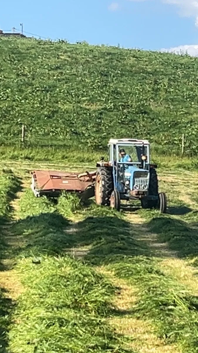 Ford 4000 - Image 1