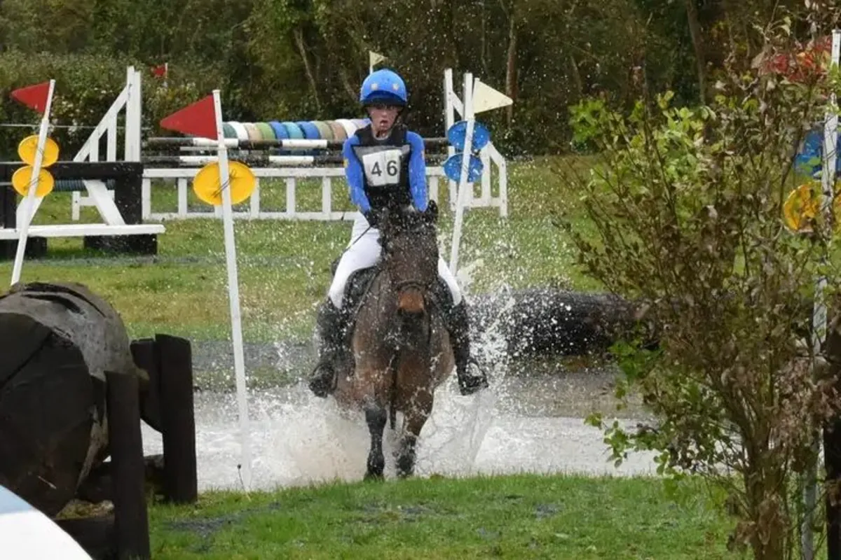 13.2 pony for sale - Image 2