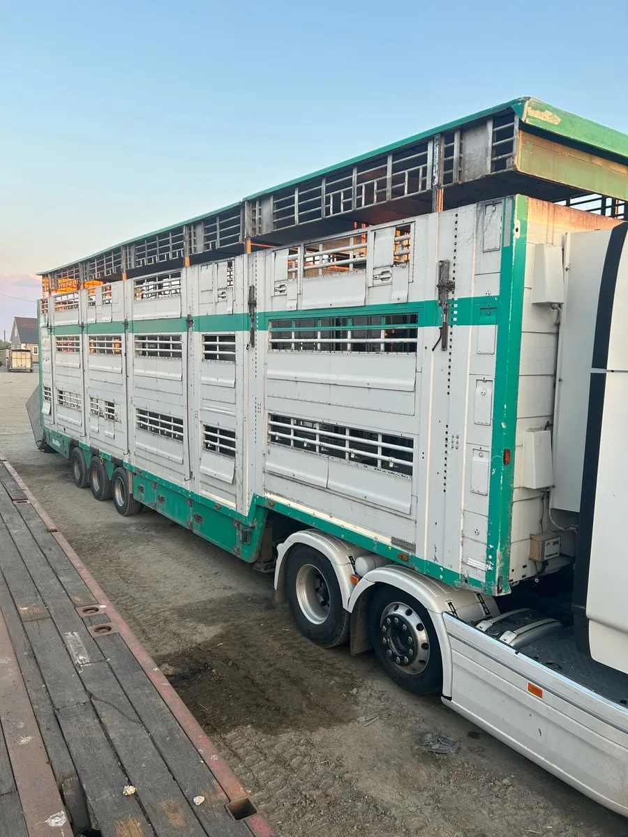 Cattle trailer - Image 1