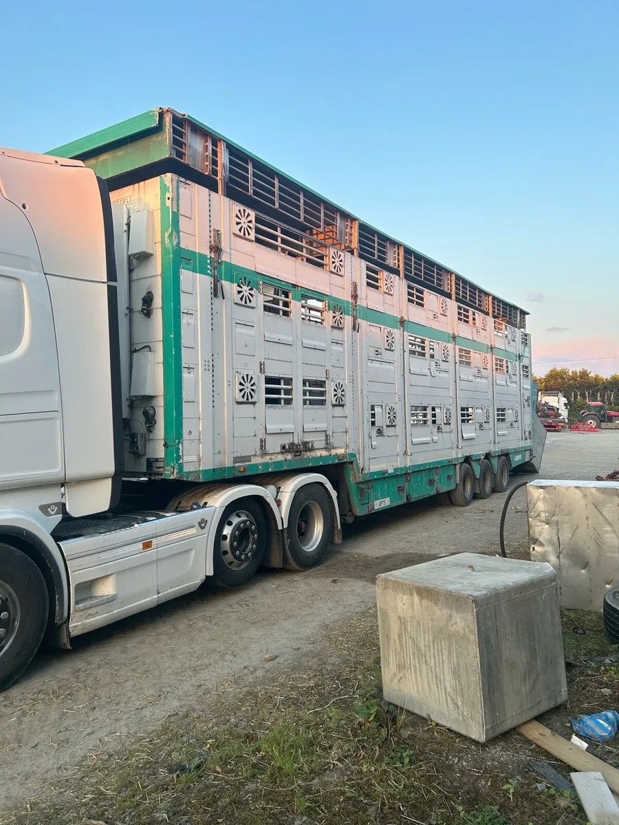 Cattle trailer - Image 2