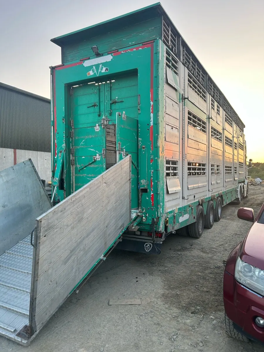 Cattle trailer - Image 3