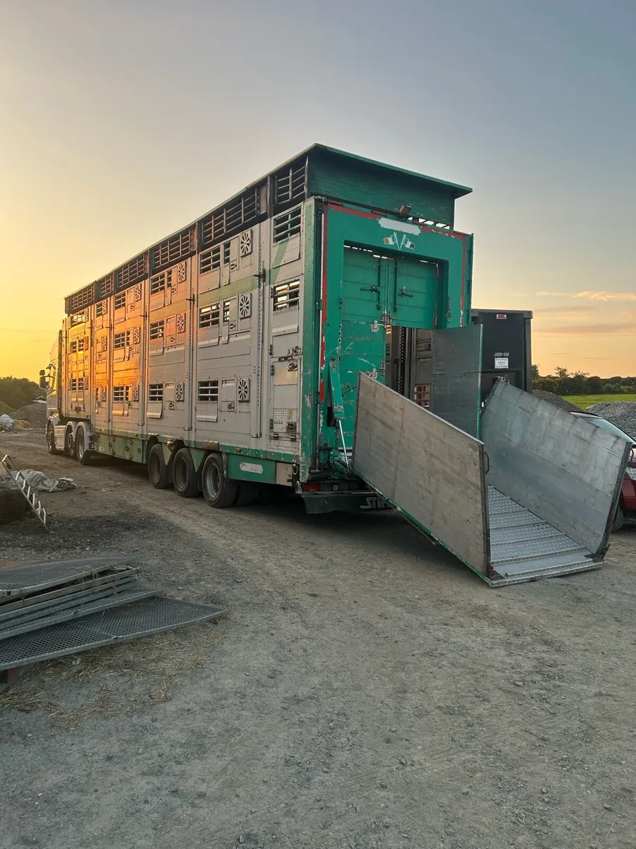 Cattle trailer - Image 4