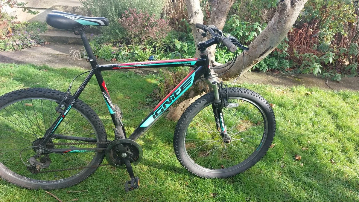 Free Bicycle - Image 1