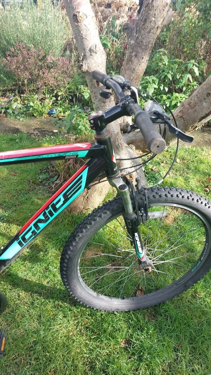 Free Bicycle - Image 2