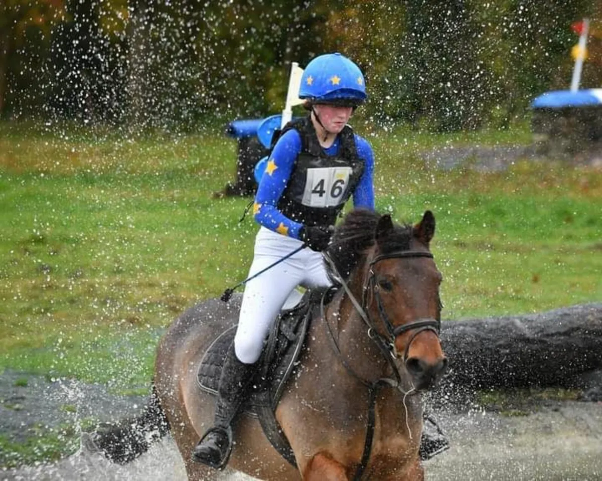 13.2 pony for sale - Image 4