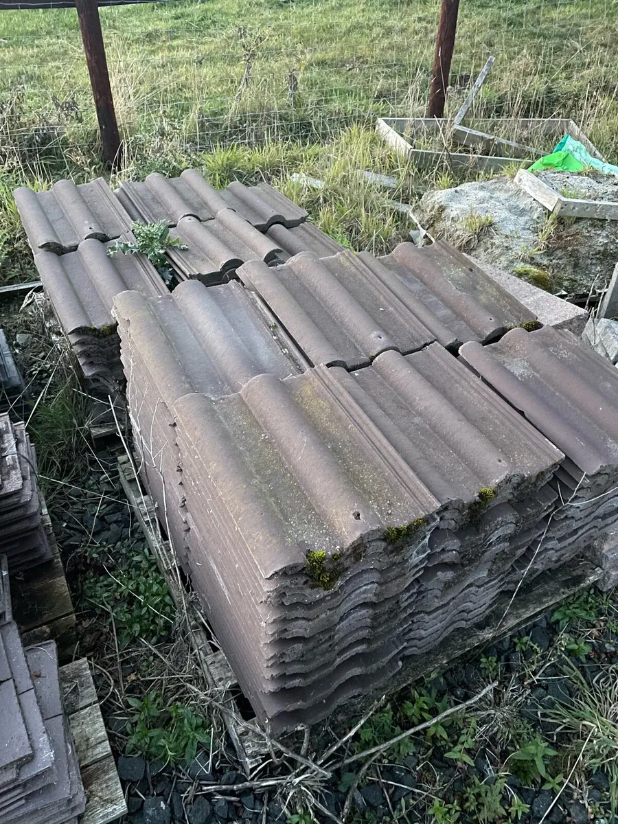 Derrie Roof tiles - Image 4