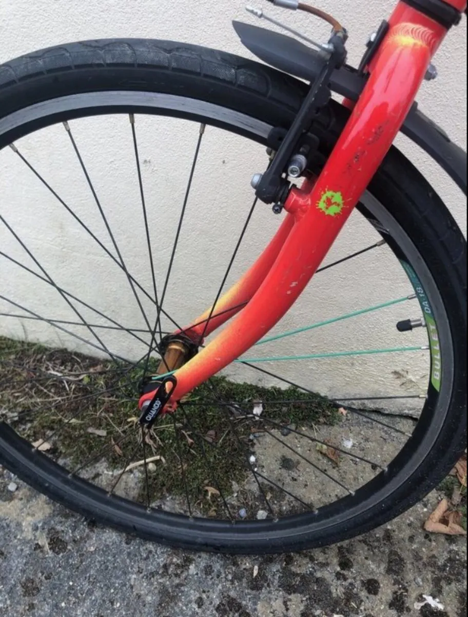 Frog 69 Bike (age 10-12) - Image 3