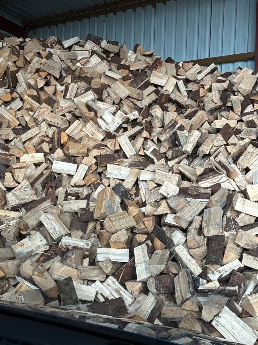 Firewood - Image 3