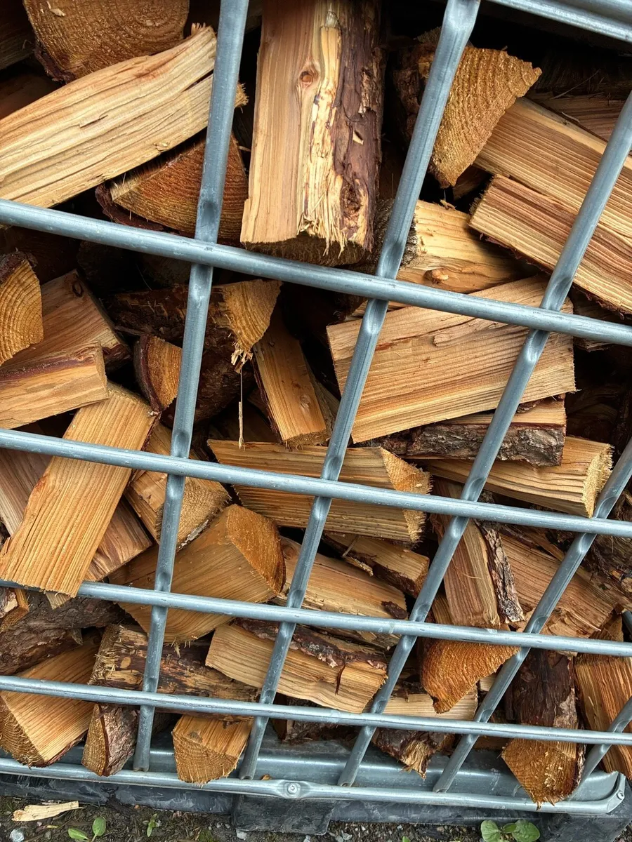 Firewood - Image 4