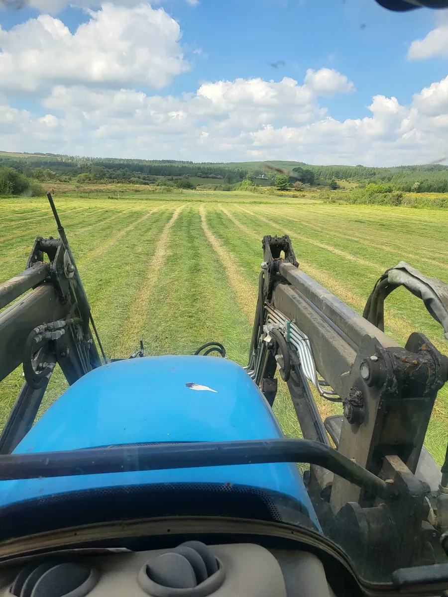 Hay - Image 1