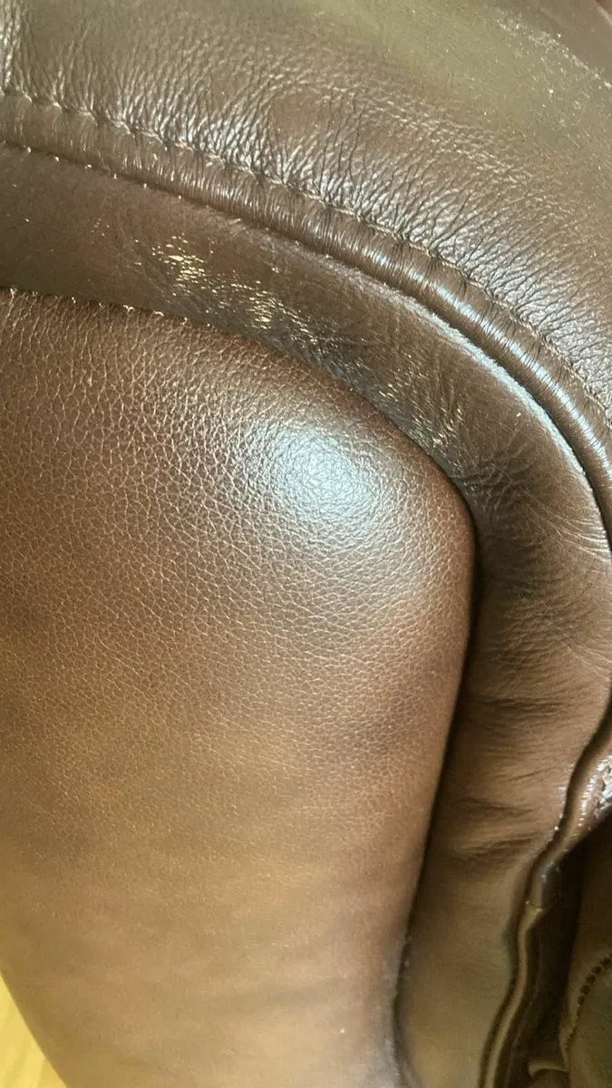Donkey brown leather suite - Image 2