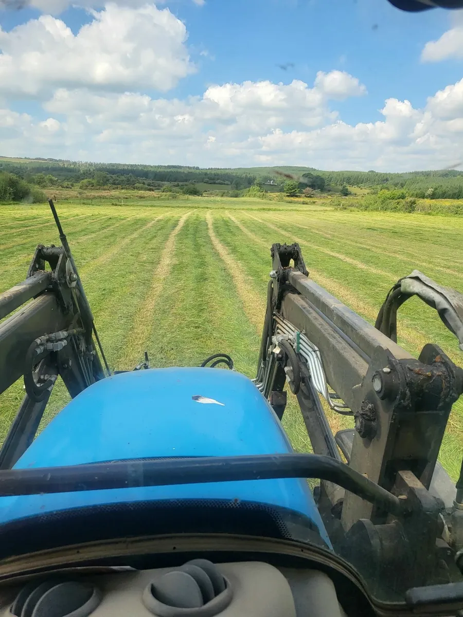 Hay - Image 2