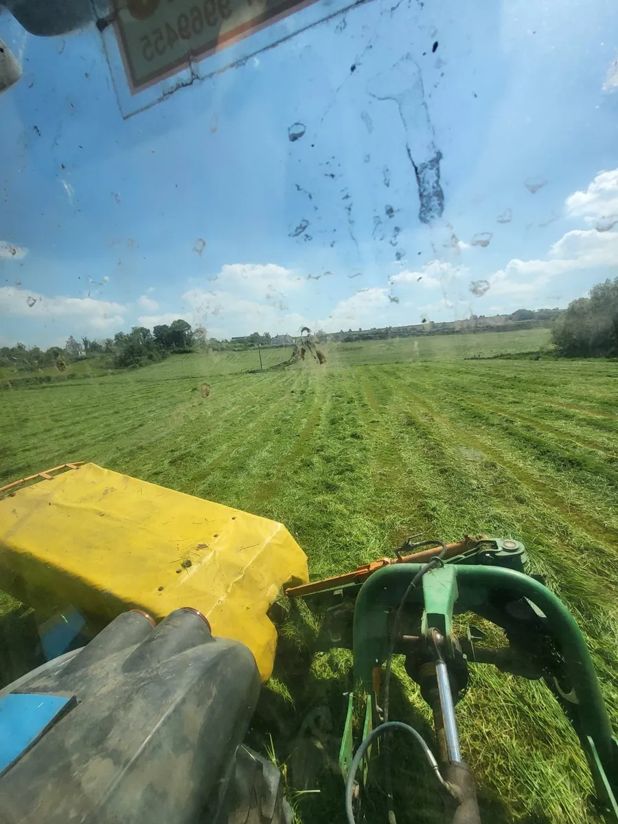 Hay - Image 4