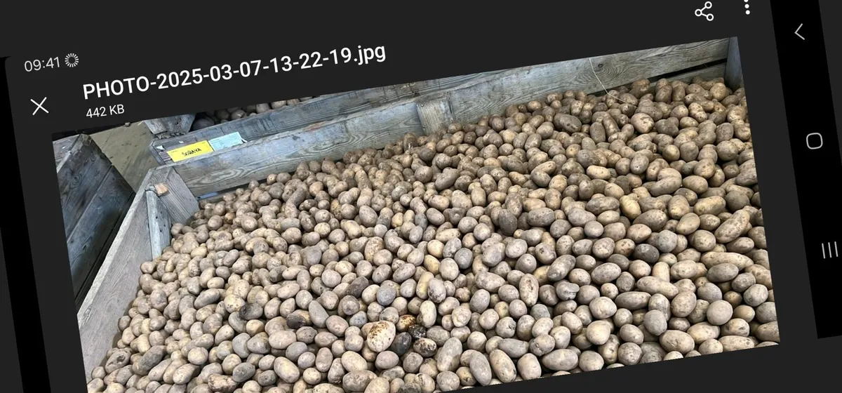 Stockfeed