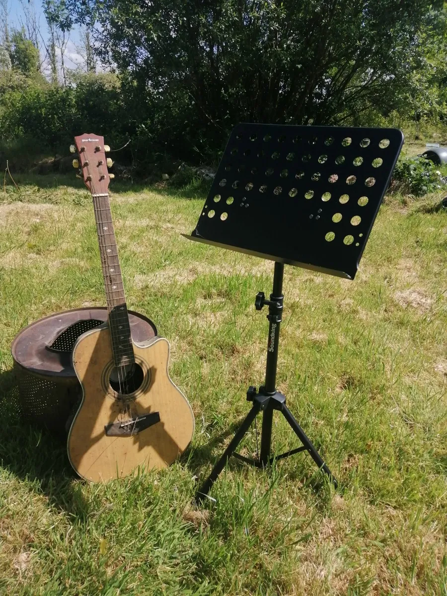 electric acoustic guitar