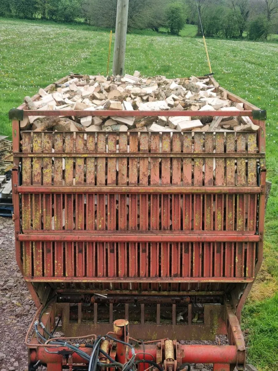 Firewood - Image 3
