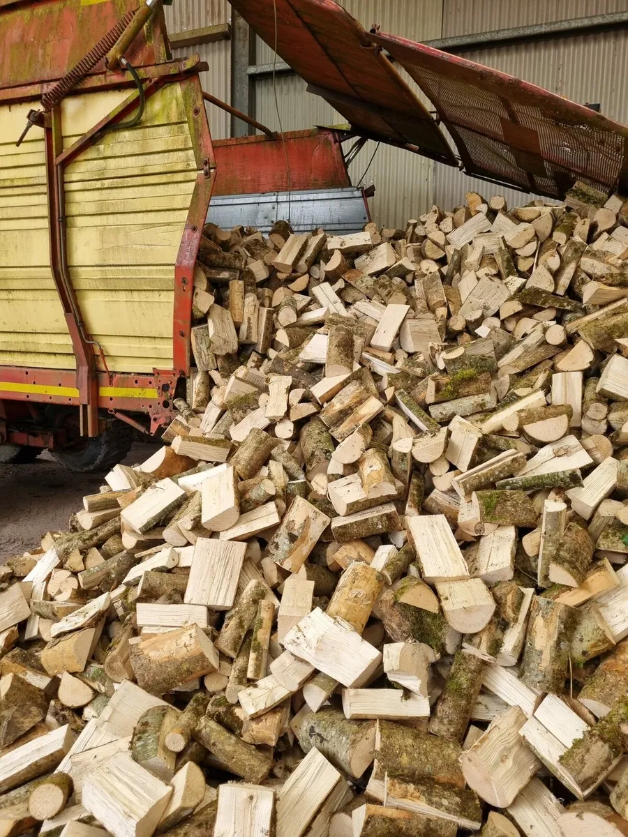 Firewood - Image 4