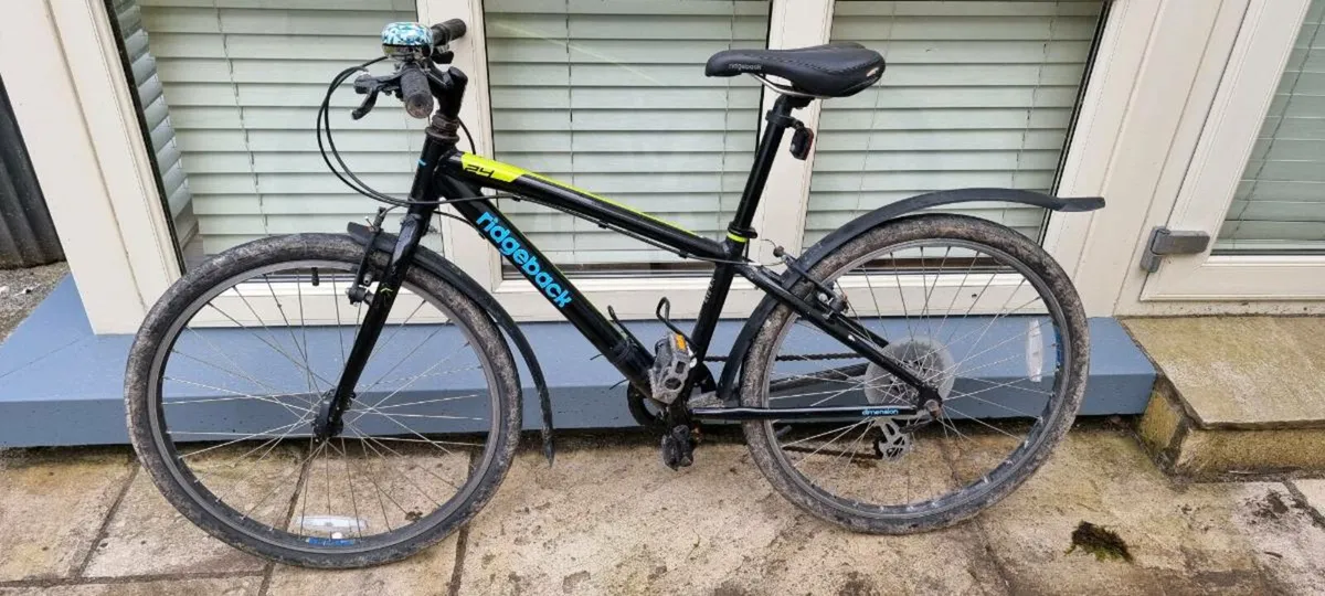Ridgeback Dimension 24 kids bike - Image 2