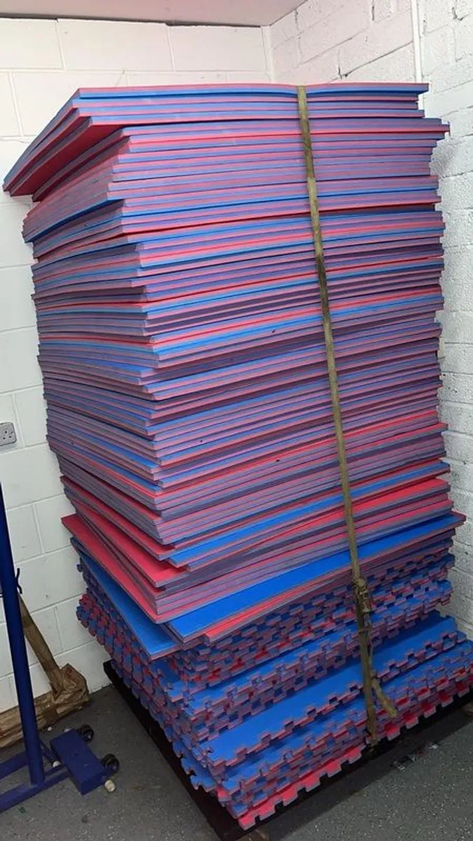 Karate tatami. Barely used. Full set of 100. 20mm red/blue reversible. - Image 1