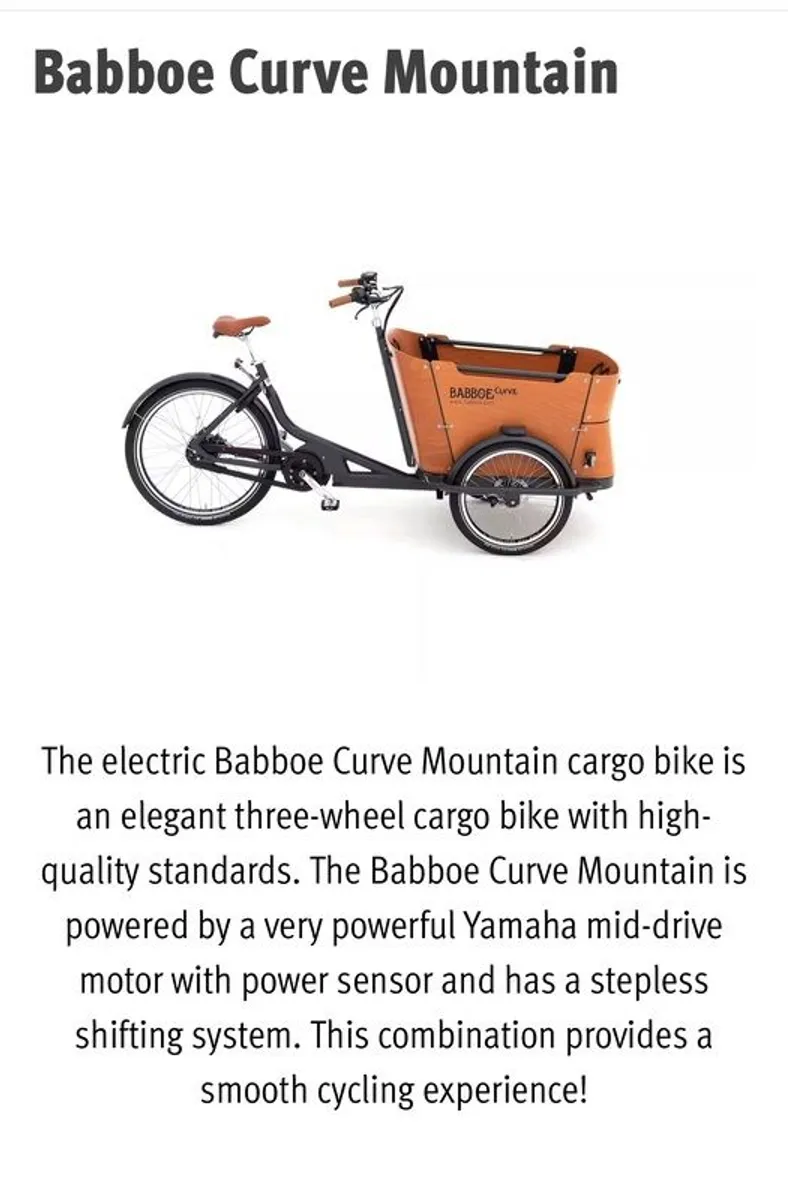 Babboe Curve Electric Mountain Cargo Bike - Image 1