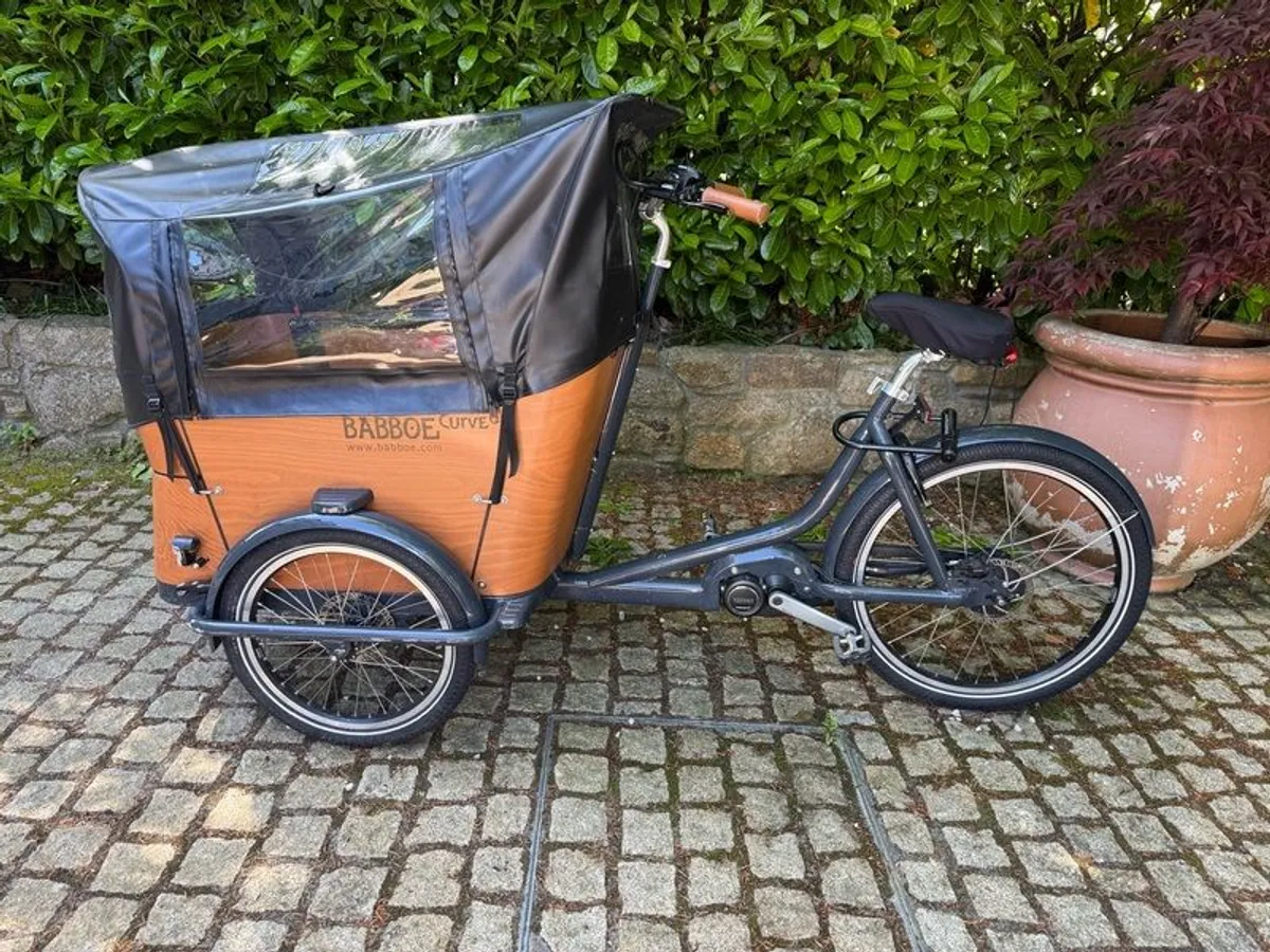 Babboe Curve Electric Mountain Cargo Bike - Image 2