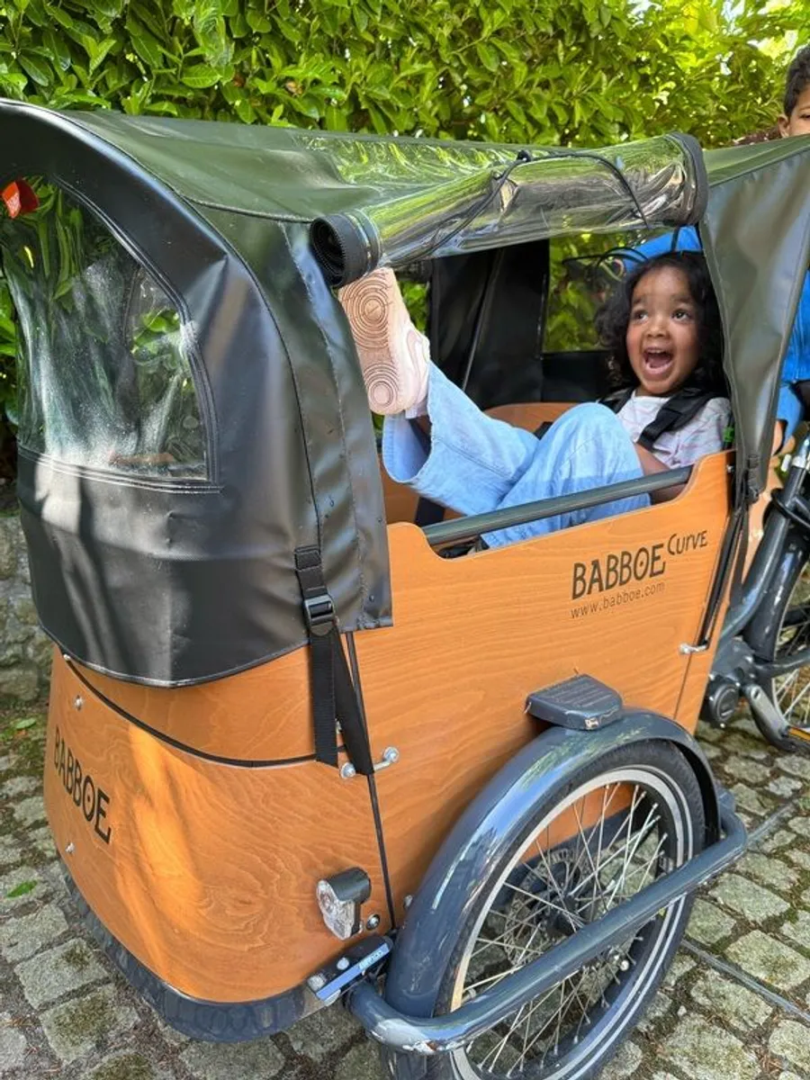 Babboe Curve Electric Mountain Cargo Bike - Image 3