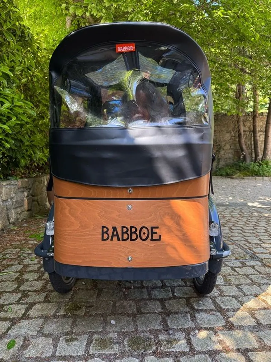 Babboe Curve Electric Mountain Cargo Bike - Image 4