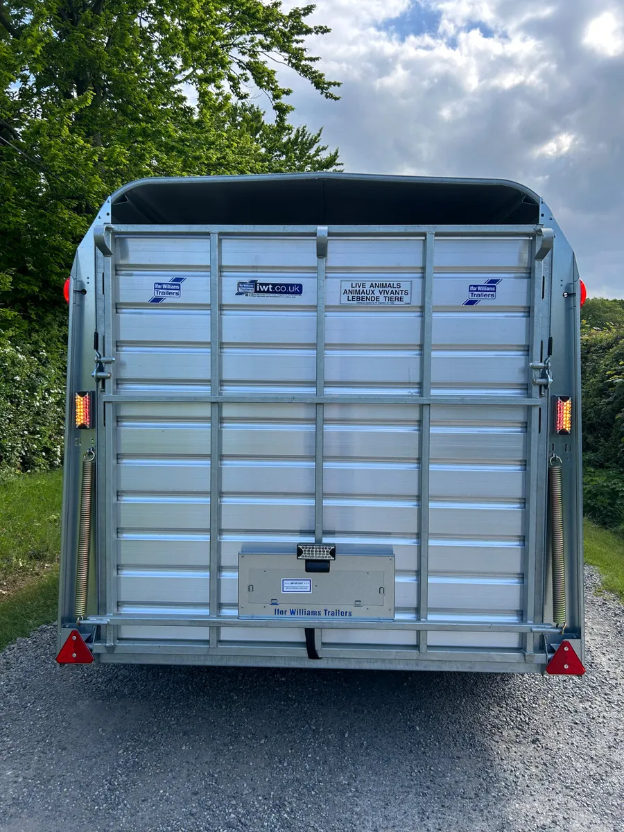 New Ifor Williams 12ft Livestock Trailer - Image 2