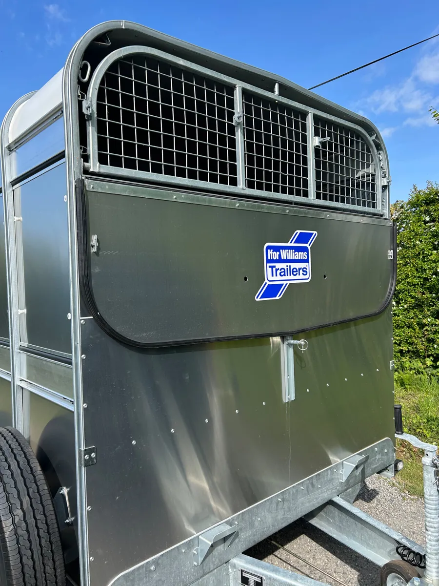 New Ifor Williams 12ft Livestock Trailer - Image 4