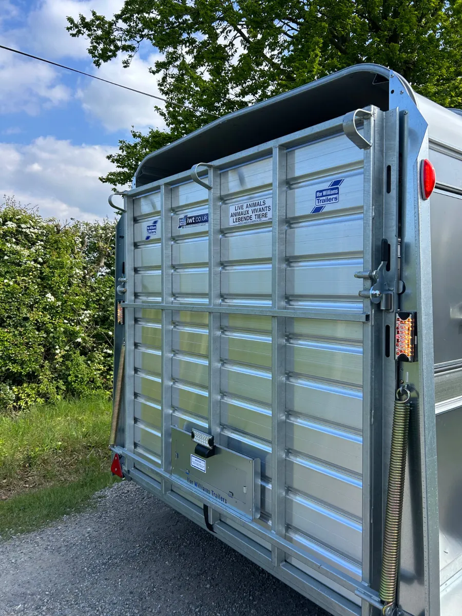 New Ifor Williams 12ft Livestock Trailer - Image 3