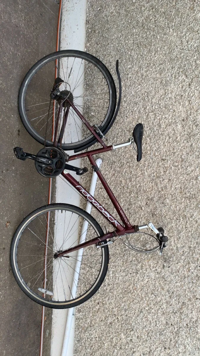 Adult bicycle for sale